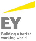 Audit and consulting